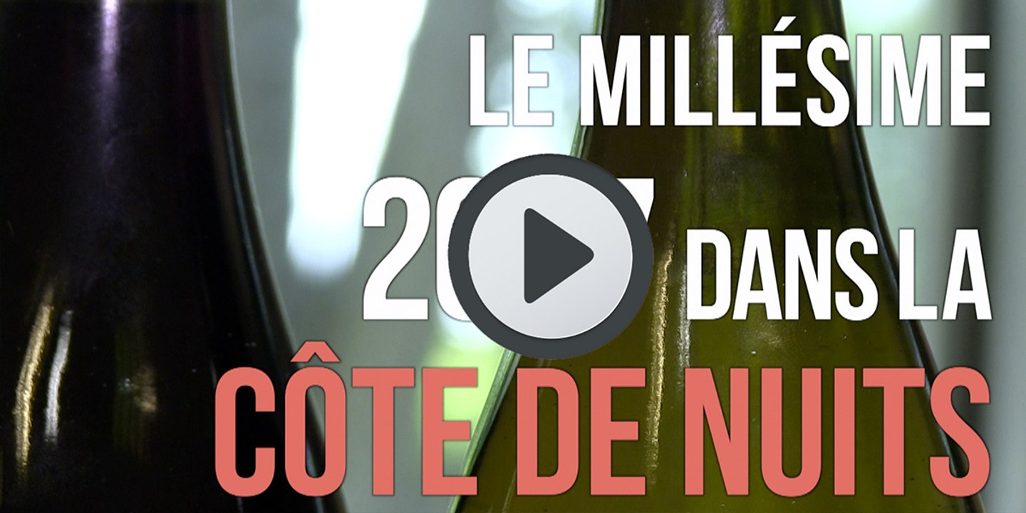 Côte de Nuits : En 2017, les vins sont gourmands et parfumés