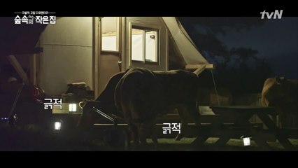 집 앞까지 몰려온 소 떼에 당황한 소지섭(!) #진격의소떼