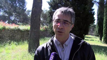 L'interview de Bernard Calvia, directeur du site archéologique de Siant-Blaise.