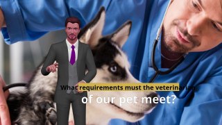 How To Choose The Best Veterinarian For My Pet?