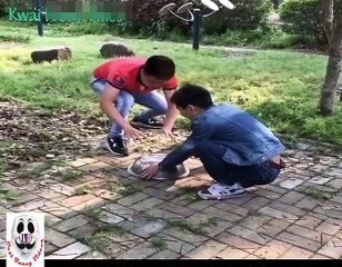 Try Not To Laugh Watching Funny Fails Compilation 2018 _ Funny Fail Vines 2018