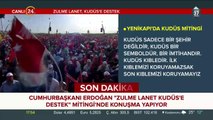 Cumhurbaşkanı Erdoğan, Yenikapı mitinginde konuşma yapıyor