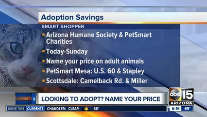 Got a "royal" name? You can adopt a pet for a great deal!