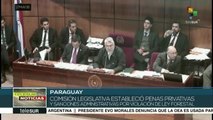 Senado paraguayo aprueba proyecto para frenar deforestación