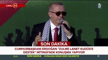 Cumhurbaşkanı Erdoğan, Yenikapı mitinginde konuşma yapıyor