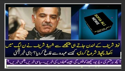 Shahbaz Sharif ny kis ko party sy nikal dya