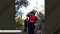 Crew Carried Injured Dog To Safety In Remarkable Rescue