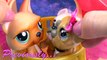 LPS Flashback Mommies Part 53 Littlest Pet Shop Series Video Movie LPS Mom Babies Cookieswirlc