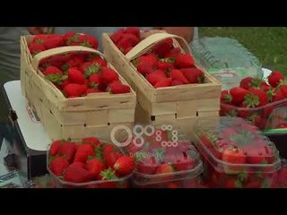 Ora News - Festa e luleshtrydhes në Frakull, fermerët: Nuk jemi dëmshpërblyer