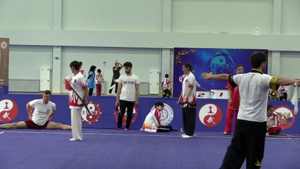 17. Avrupa Wushu Şampiyonası - MOSKOVA