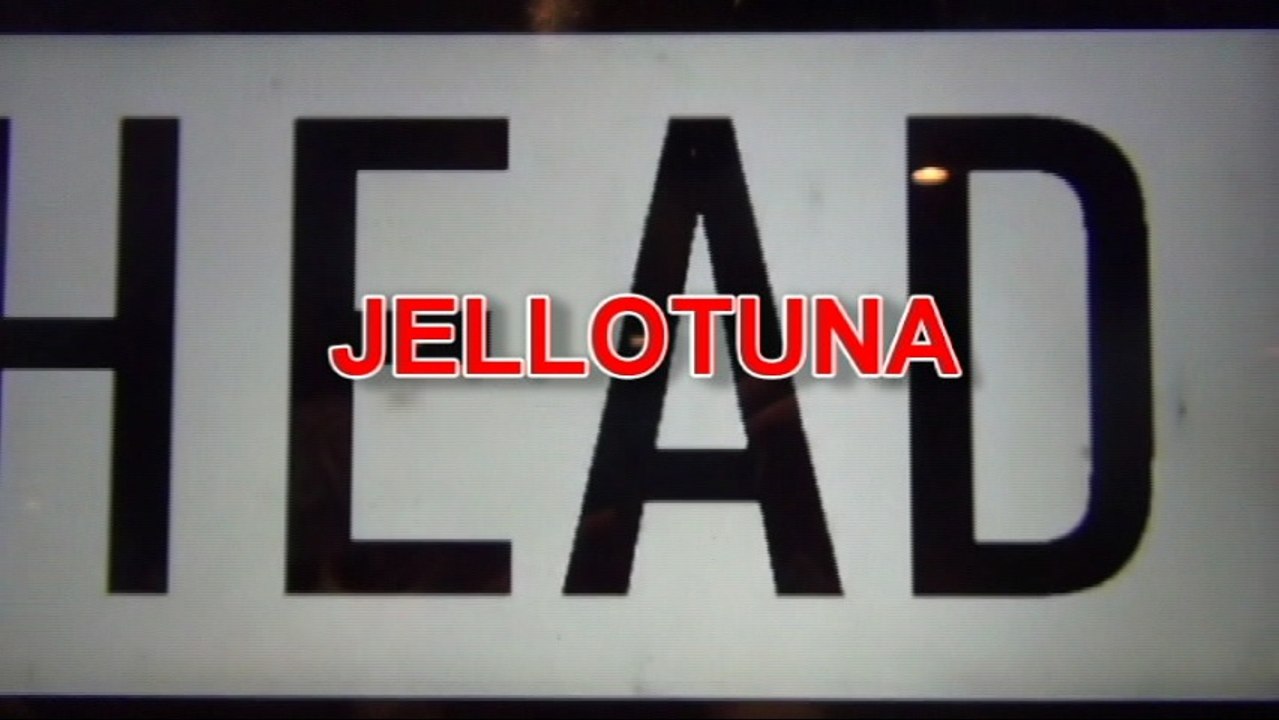 Malicious Lies