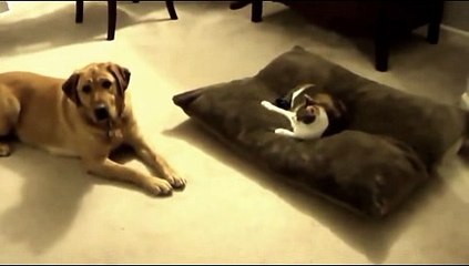 호게임- ( ＠【 CArd328。CoM 】＠) -호게임 필리핀온라인카지노