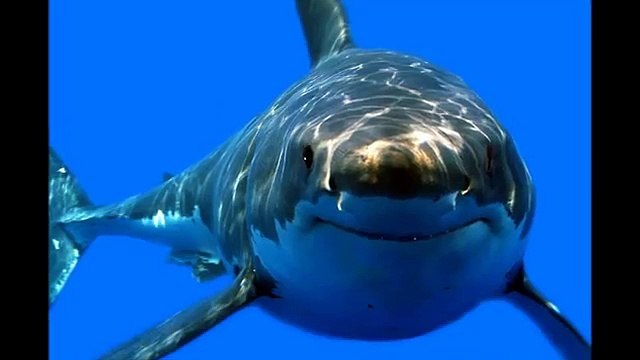 Desastres naturales mas impantes en el mundo: CATASTROFES NATURALES EN EL MUNDO