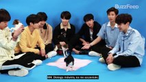 [PL SUB] BTS Plays With Puppies While Answering Fan Questions - polskie napisy