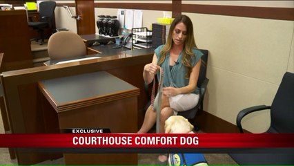 Meet Rubix, Utah's First Ever Courthouse Comfort Dog