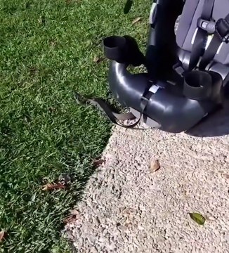 Ce qu'il va trouver dans le siège auto de son bébé va vous faire froid dans le dos