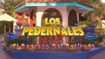El Regreso Del Retirado - Los Pedernales