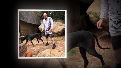 Interesting things to know about Rhythm City’s David Genaro