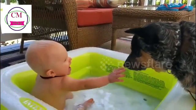 Adorable Babies Playing With Dogs and Cats - Funny Babies Compilation 2018