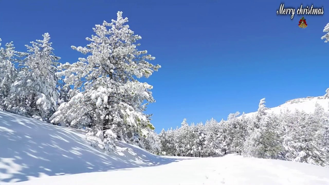 Merry christmas  -  Feliz navidad .