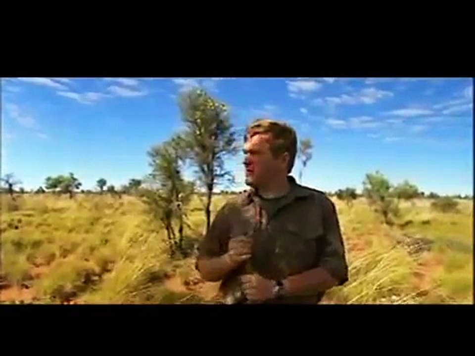Ray Mears Wild Food Episode 1