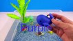 Learn Sea Animal Names, and colors and Counting numbers with Aqua Water Fish Toys Learning for Kids
