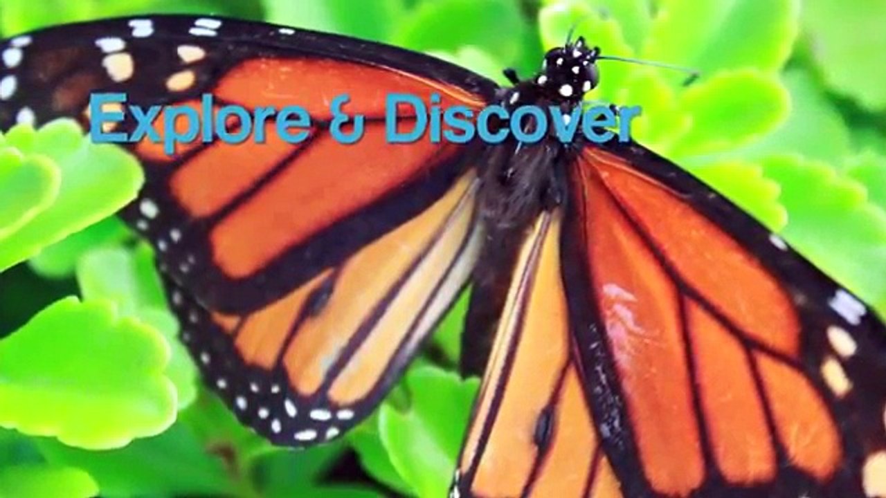 How to Make a Doll School Supplies Book Bag Doll Crafts video