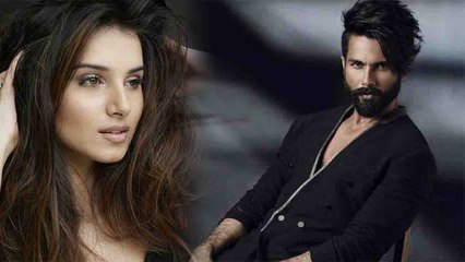 Shahid Kapoor to ROMANCE with Tara Sutaria in Hindi remake of Arjun Reddy | FilmiBeat
