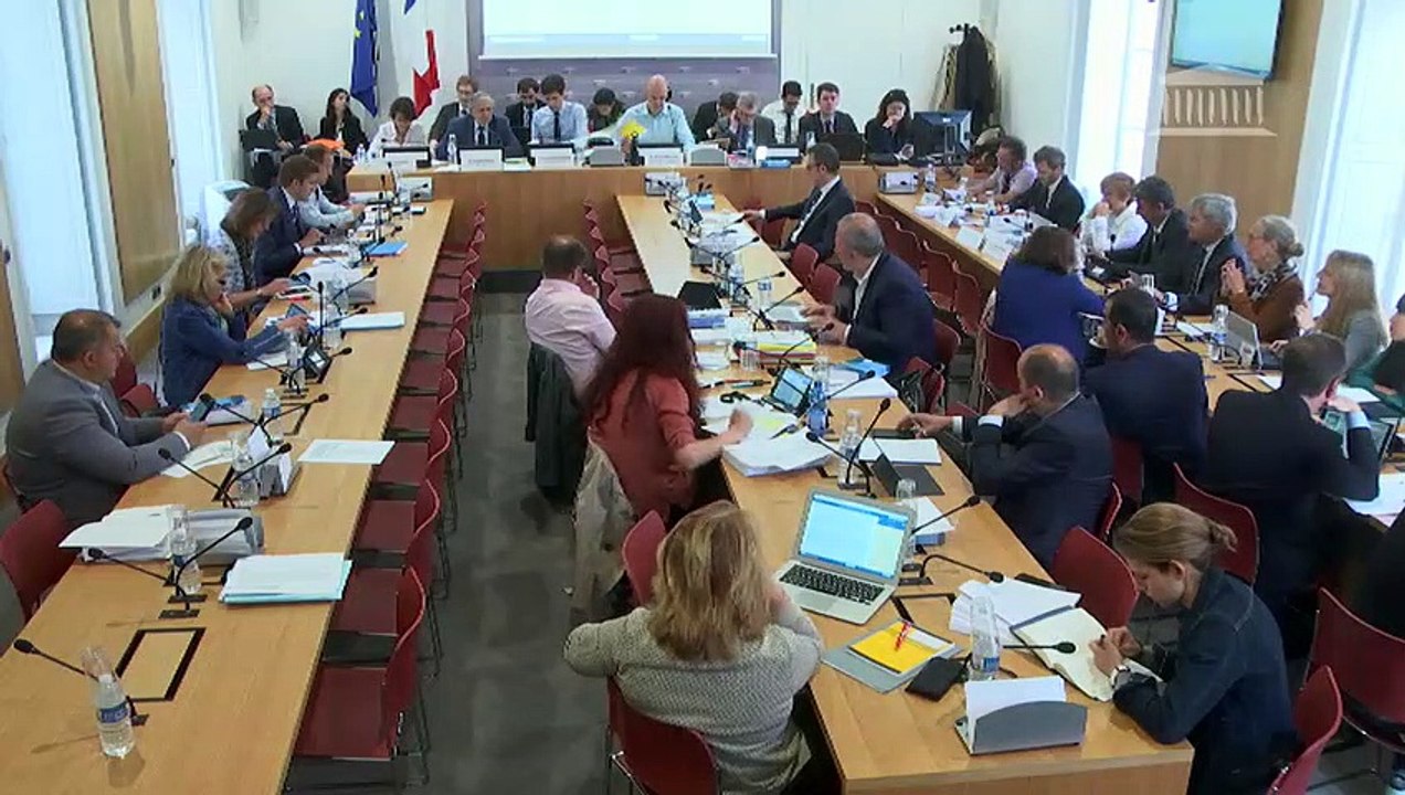 Commission des affaires économiques : Évolution du logement, de l’aménagement et du numérique (ELAN) (suite) ( Après l'article 38 adt 2253 à Article 43) - Vendredi 18 mai 2018