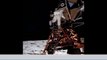 Examination of Apollo Moon photographs - Video Learning - WizScience.com