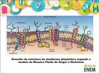 Arrase no ENEM Biologia AULA 1_1