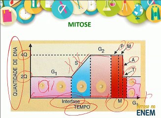 Arrase no ENEM Biologia AULA 1_4