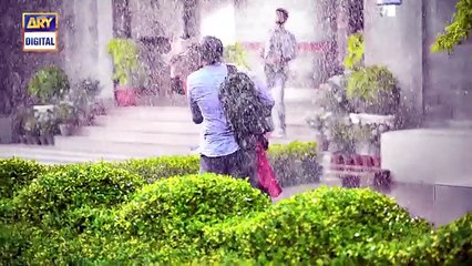 Aisi Hai Tanhai Episode 25 & 26 - 31st Jan 2018 - ARY Digital Drama