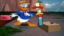 ᴴᴰ Donald Duck & Chip and Dale Cartoons Lion, Pluto, Mickey Mouse Clubhouse, Figaro, Frank