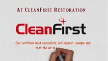 Attic Mold Removal Mississauga