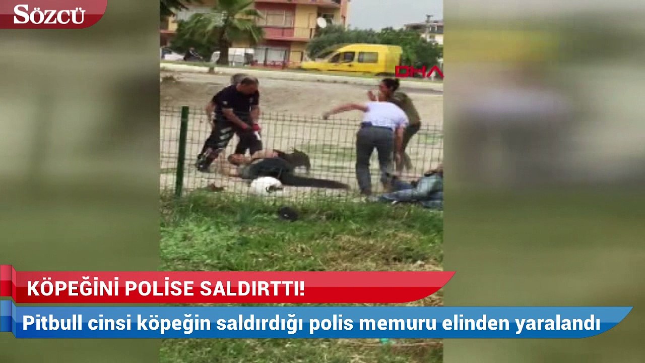 Uyuşturucu operasyonunda pitbull cinsi köpeğini polislere saldırttı