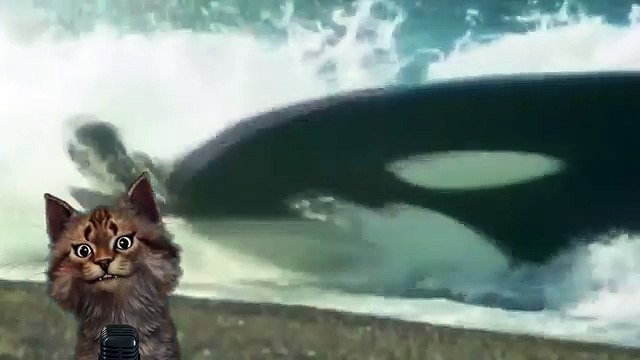 Косатка | Познавательное видео для детей про животных | Семен Ученый |