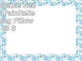 SPRING BED PILLOWS  Newest Breathable Neck and Back PainRelieving Sleeping Pillow with