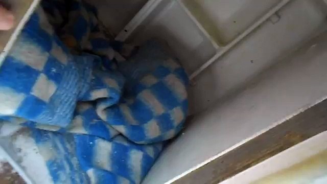 Будка для собаки из холодильника // Будка с отоплением // Своими руками