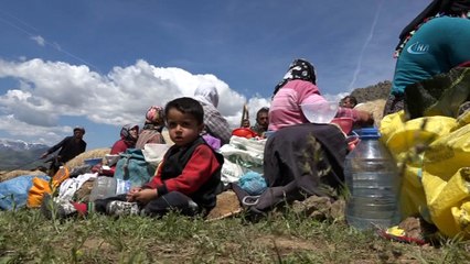 Dağlara terör yerine huzur geldi