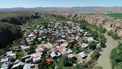 Nesli tükenmekte olan türler arasında yer alan Karaleylekler böyle görüntülendi