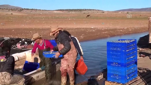 'Avrupalılar, gümüş balığını çerez olarak tüketiyor' - YOZGAT