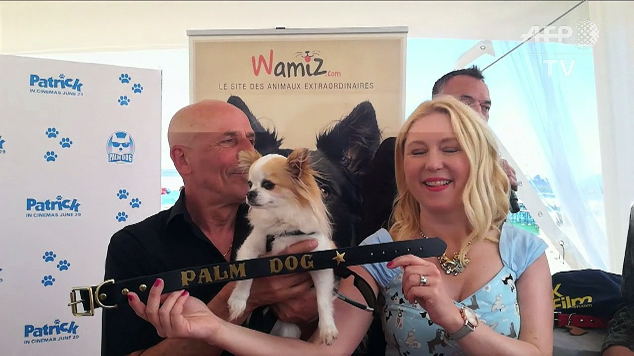 Cannes: le casting canin de "Dogman" récompensé par la Palm Dog