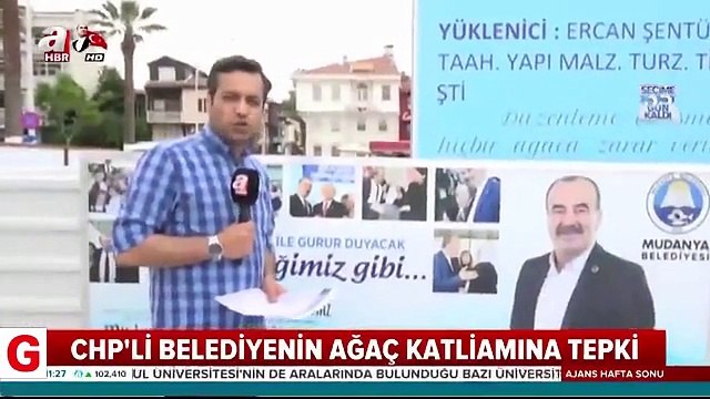 Bursa'da CHPli Belediye asırlık ağaçları kesti