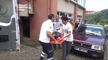 Zonguldak-Cam Silerken 2'nci Kattan Düştü