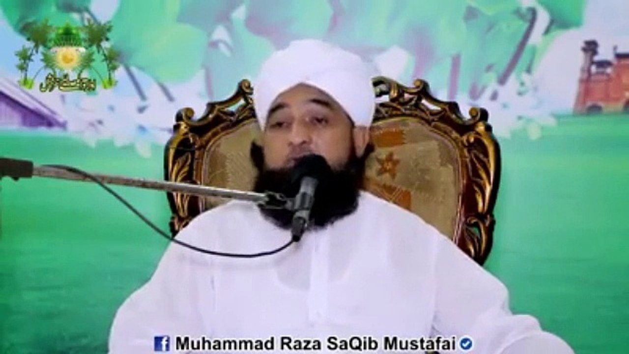 Muhammad Raza Saqib Mustafai (427)
