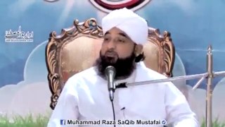 Muhammad Raza Saqib Mustafai (435)