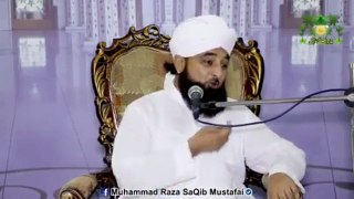 Muhammad Raza Saqib Mustafai (440)
