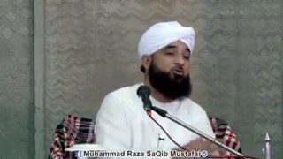 Muhammad Raza Saqib Mustafai (443)