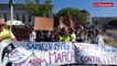 Lorient. Une marche contre Bayer-Monsanto et l'usage des pesticides